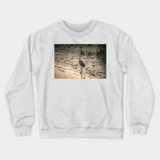 Great heron of Calabash Crewneck Sweatshirt